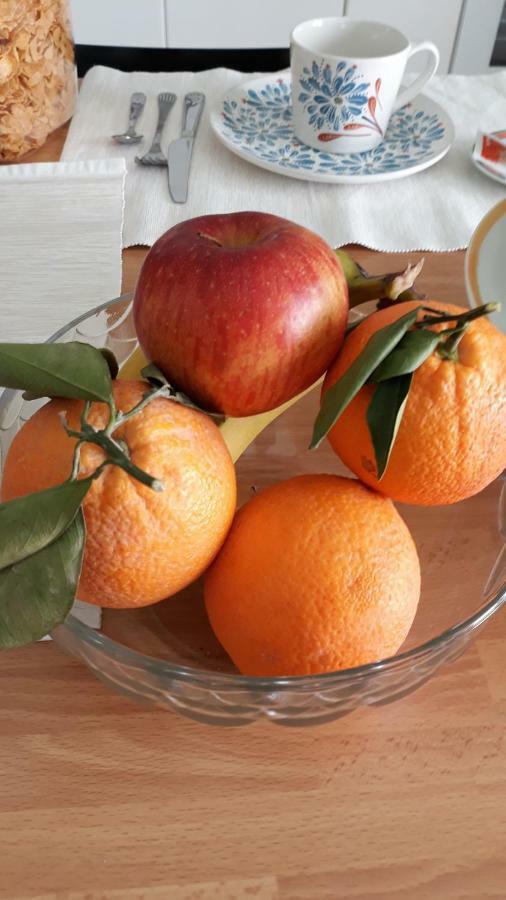 B & B Il Sicomoro Montecarotto Ngoại thất bức ảnh