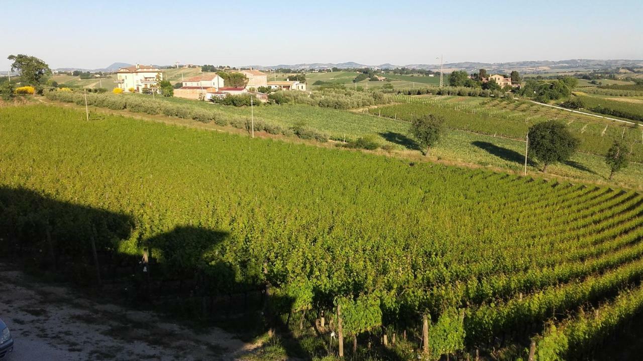 B & B Il Sicomoro Montecarotto Ngoại thất bức ảnh